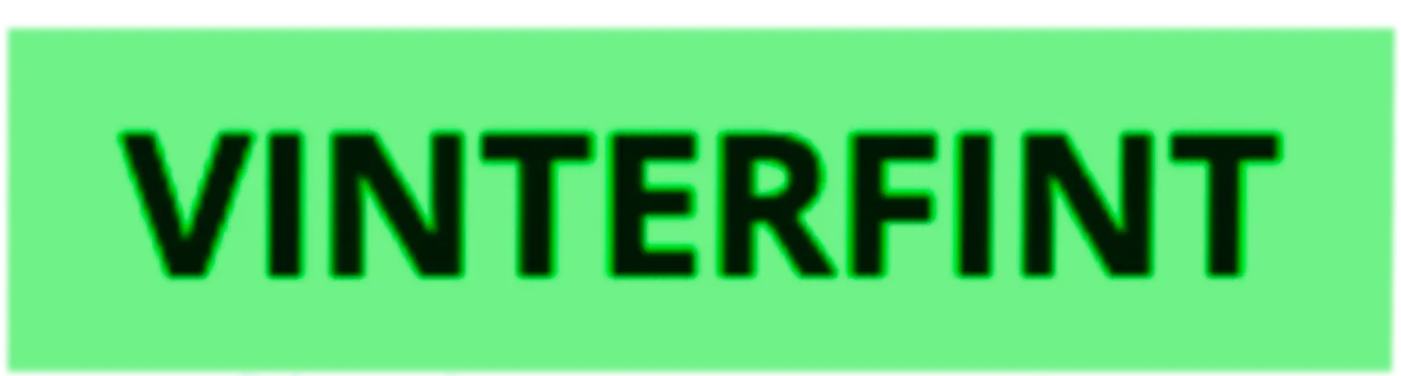 Vinterfint